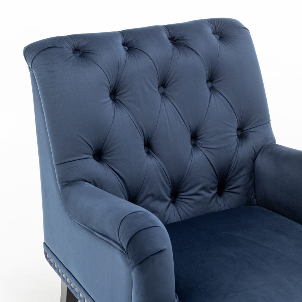 Darwin Velvet Accent Chair In Blue