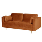 Avery Velvet 2 Seater Sofa with 2 Scatter Cushions