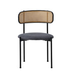 Set Of 2 Boho Velvet Dining Chair With Curved Rattan Backrest