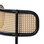 Set Of 2 Boho Velvet Dining Chair With Curved Rattan Backrest