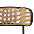 Set Of 2 Boho Velvet Dining Chair With Curved Rattan Backrest