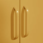 Lokki® 2 Doors Wardrobe Storage Locker cabinet With Adjustable Shelf